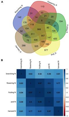 Identification of the Important Genes of Bradyrhizobium diazoefficiens 113-2 Involved in Soybean Nodule Development and Senescence